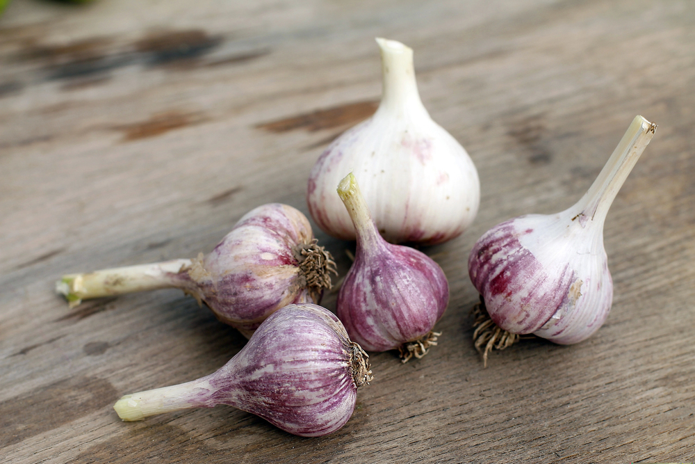 Allium Savitum: dé smaakmaker bij het Winter Barbecue Menu